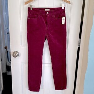 Corduroy Pants Burgundy by Pilcro